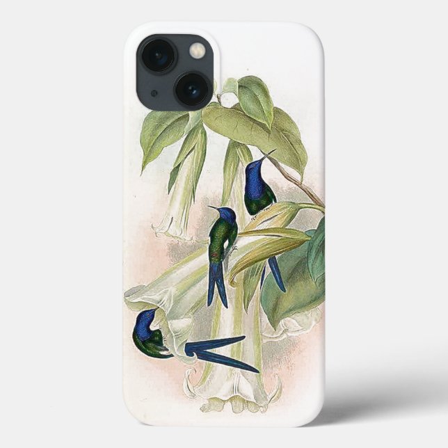 Hummingbird Birds iPhone 6 Fodral (Baksida)