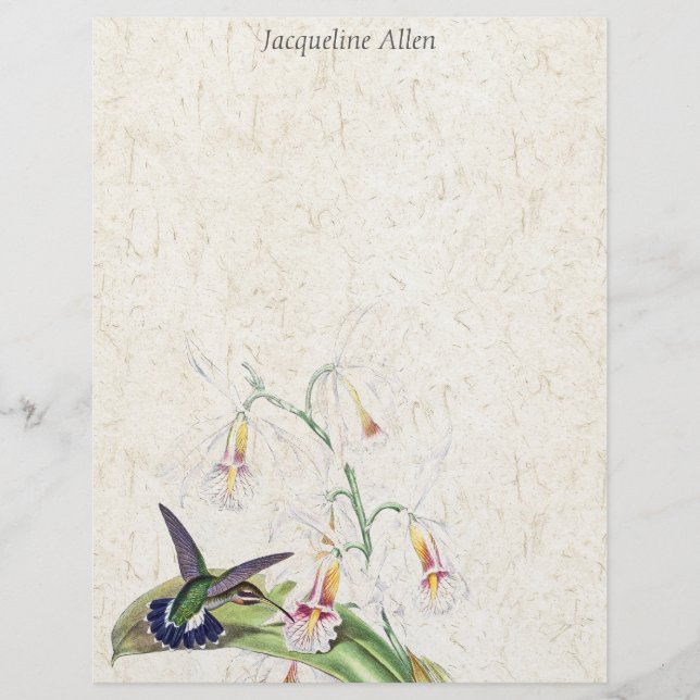 Hummingbird Birds Wildlife Flowers Letterhead (Framsida)