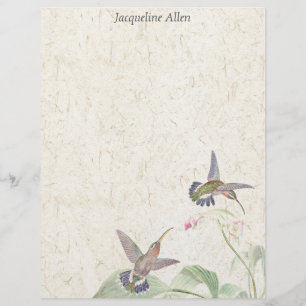 Hummingbird Birds Wildlife Flowers Letterhead