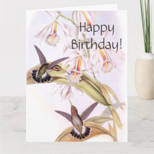 Hummingbird Birthday Big Greeting Card Kort