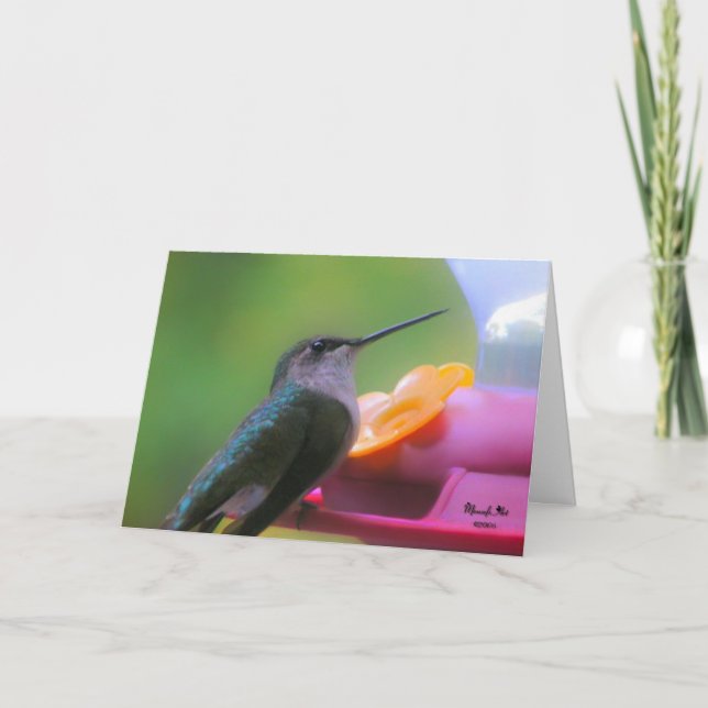 Hummingbird Birthday Card Kort (Framsida)