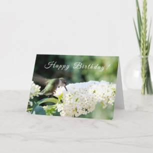 Hummingbird Birthday Greeting Card Kort