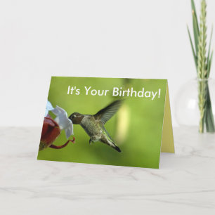 Hummingbird Birthday Kort