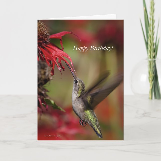 Hummingbird Birthday kort (Framsida)