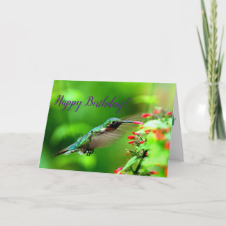Hummingbird Birthday Kort