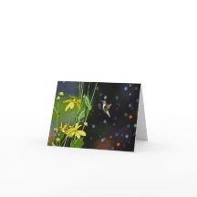 Hummingbird Blank Greeting Card