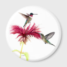 Hummingbird Blommigt Vattenfärg