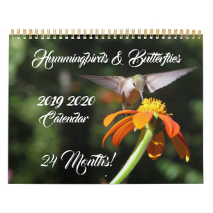 Hummingbird & Butterflies 2019 2020 Kalender
