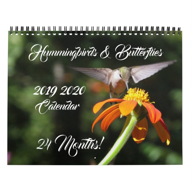 Hummingbird & Butterflies 2019 2020 Kalender (Omslag)