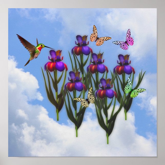 Hummingbird Butterflies Iris Flowers Poster (Framsidan)