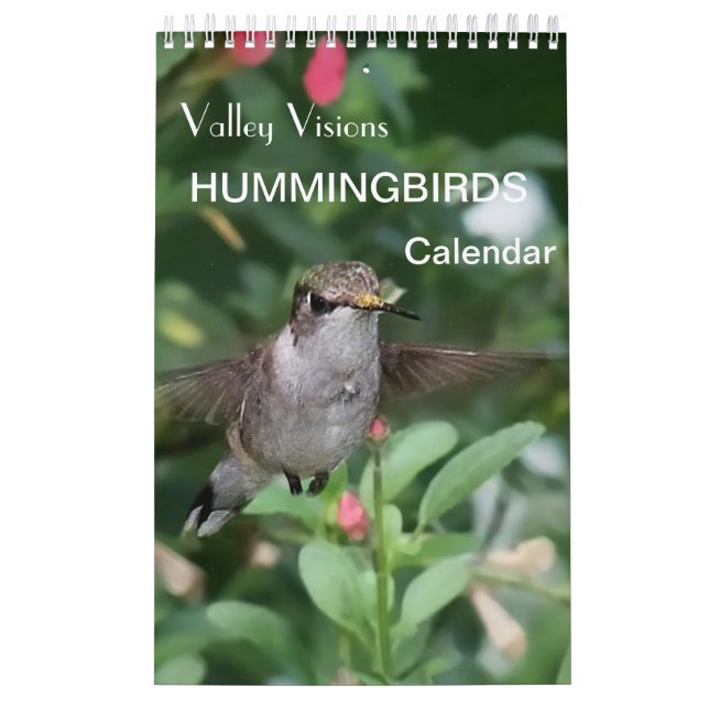 Hummingbird Calendar by Valley Visions Kalender (Omslag)