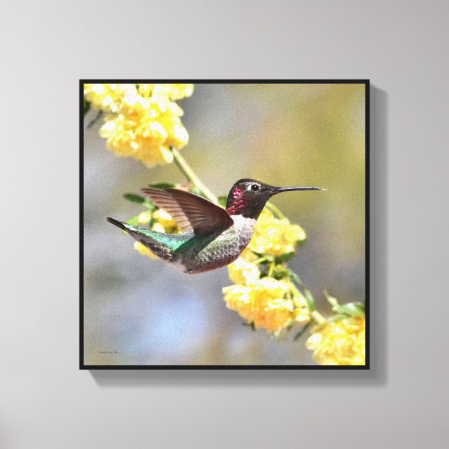Hummingbird Canvastryck (Framsida)