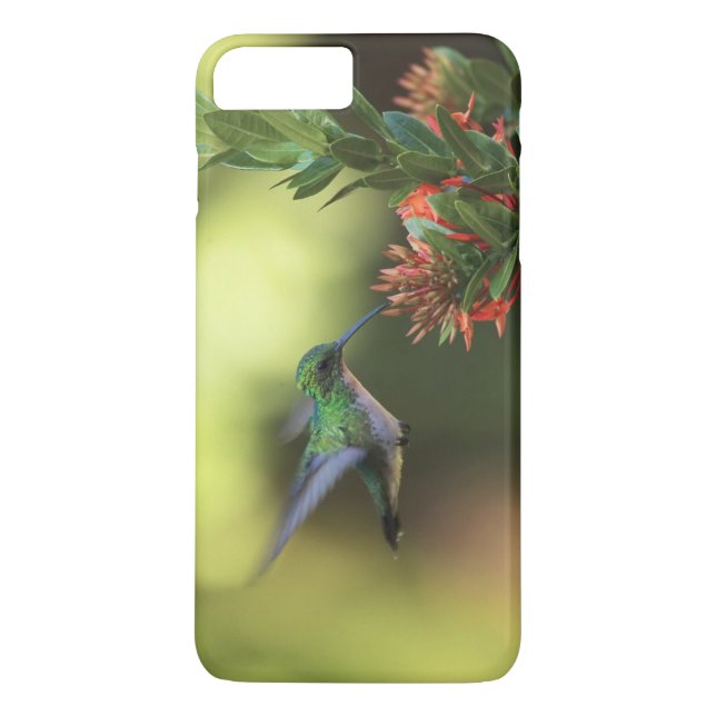 Hummingbird Case-Mate iPhone Skal (Baksida)