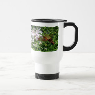 Hummingbird Clear Vinge Moth CoordinItems Resemugg