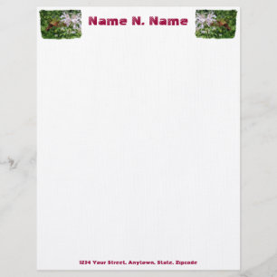 Hummingbird Clear Vinge Moth Letterhead Brevhuvud