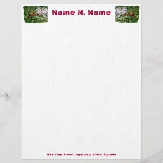 Hummingbird Clear Vinge Moth Letterhead Brevhuvud (Framsida)