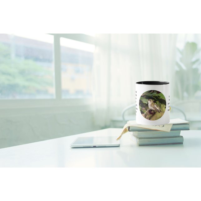 Hummingbird Coffee Kopp (It's a beautiful day why not enjoy your coffee in one of our fun facts hummingbird cups ?)