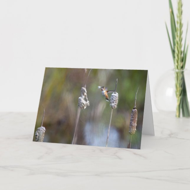 Hummingbird Collating Cattail Notecard Kort (Framsida)