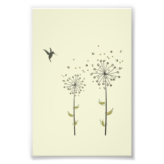 Hummingbird & Dandelion Fototryck (Framsidan)