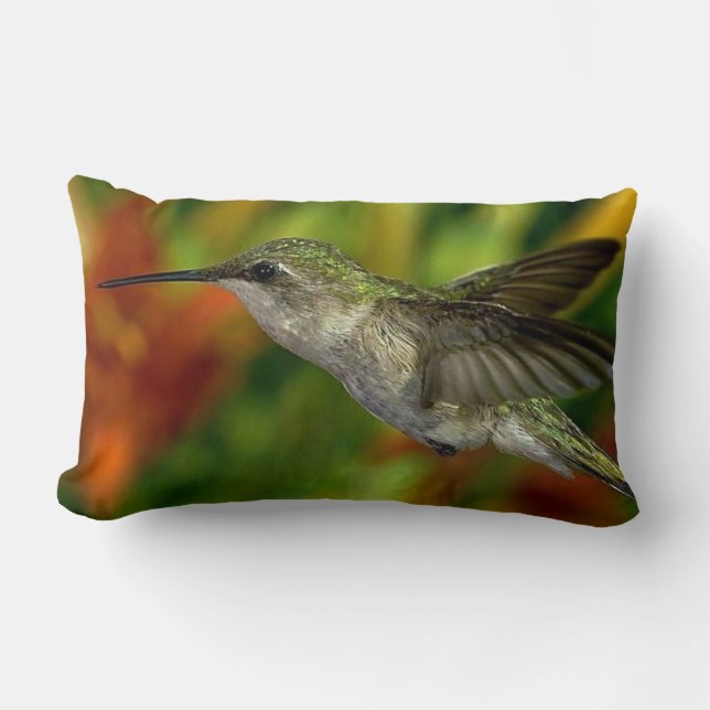 Hummingbird Decorative Dekorativ kudde (Framsida)
