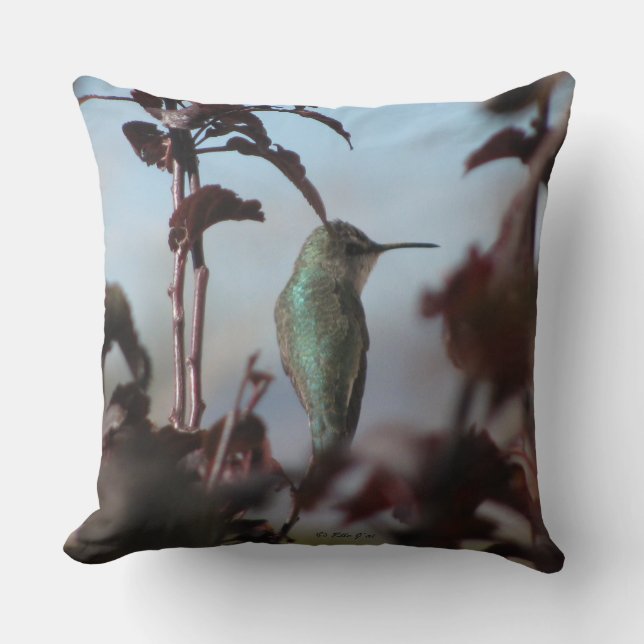 Hummingbird Dekorativ kudde (Framsida)