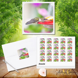 Hummingbird Design #0624 Fyrkantigt Klistermärke