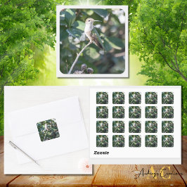 Hummingbird Design #4Q7A9974 Fyrkantigt Klistermärke