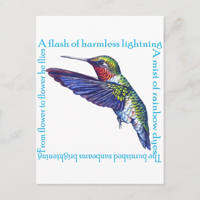 Hummingbird Dikt Vykort (Framsida)