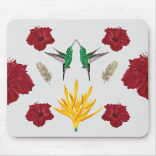 Hummingbird Dream Musmatta