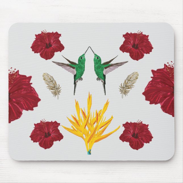 Hummingbird Dream Musmatta (Framsidan)
