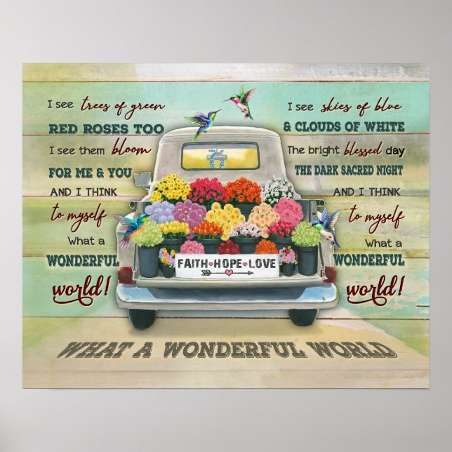 Hummingbird - en underbar global uppvärmning poster (Framsidan)