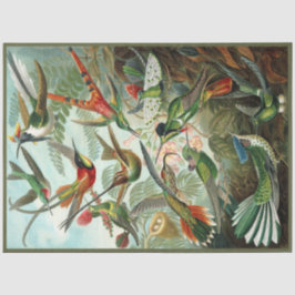 Hummingbird Ernst Haeckel Decoupage-papper