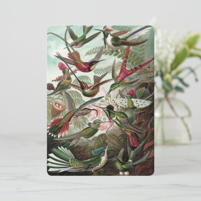 Hummingbird - Ernst Haeckel Inbjudningar (Stående Fram)