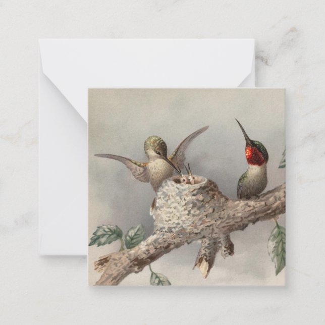 Hummingbird Family Vintage Notecard Anteckningskort (Framsida)