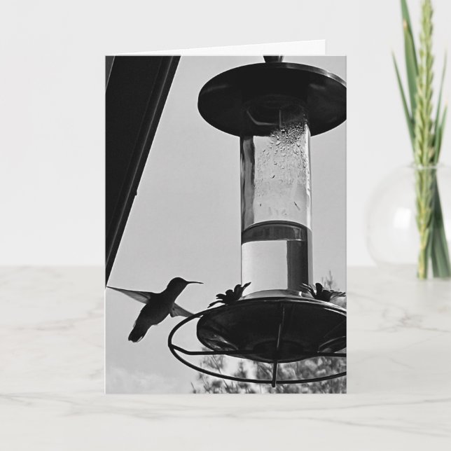 Hummingbird feeder kort (Framsida)