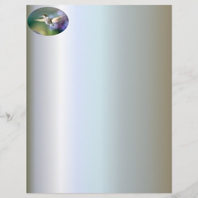 Hummingbird Flies (Framsida)