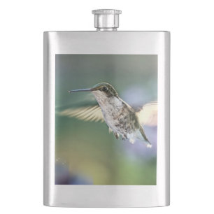 Hummingbird Flies Fickplunta