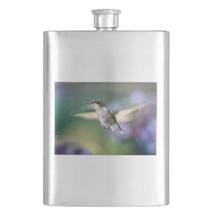 Hummingbird Flies Fickplunta