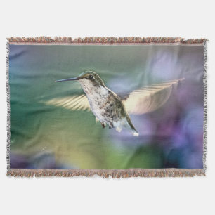 Hummingbird Flies Filt