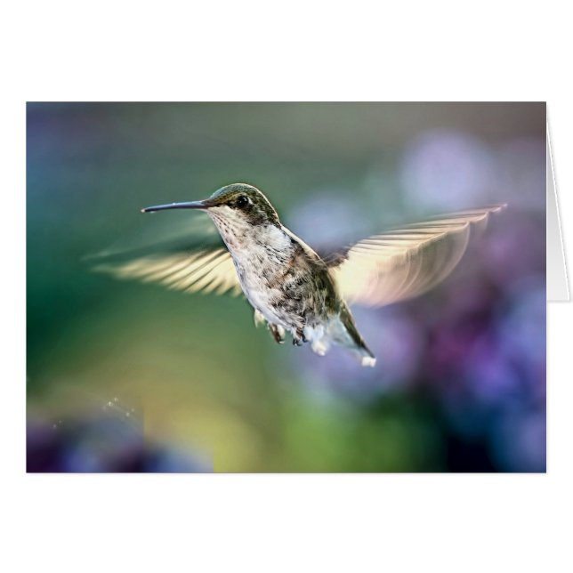 Hummingbird Flies Hälsningskort (Framsidan Horizontal)