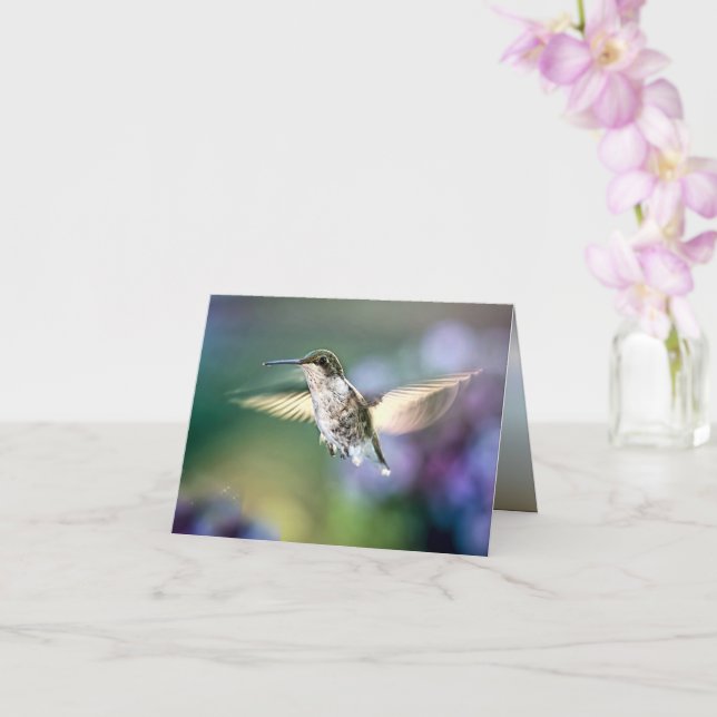 Hummingbird Flies Kort (Orkide)