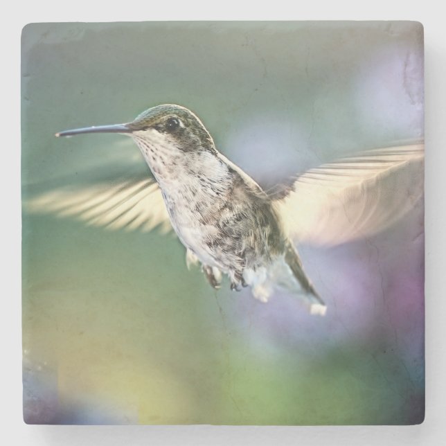 Hummingbird Flies Stenunderlägg (Framsidan)