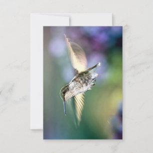 Hummingbird Flies Tack Kort