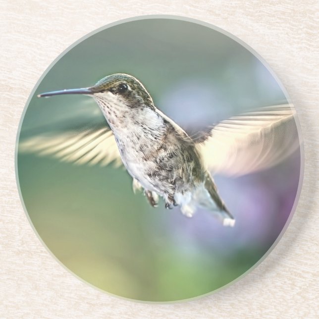 Hummingbird Flies Underlägg (Framsidan)
