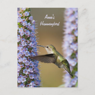 Hummingbird Flower Anpassningsbar Postcard Vykort