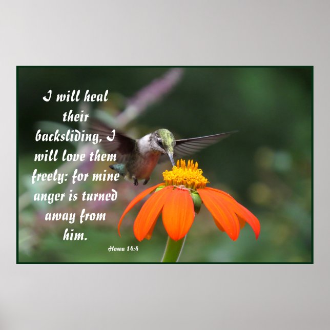 Hummingbird Flower Blommigt Hosea 14:4 Lätt Poster (Framsidan)