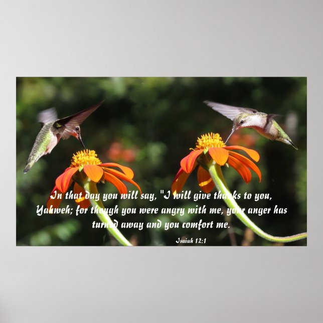 Hummingbird Flower Blommigt Isaiah 12:2 Comfort Poster (Framsidan)
