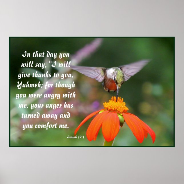 Hummingbird Flower Blommigt Isaiah 12:2 Poster (Framsidan)
