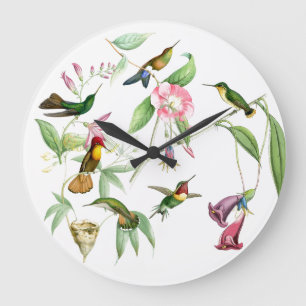 Hummingbird Flowers Birds Wildlife Animals Blommig Stor Klocka