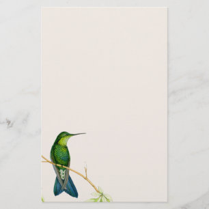 Hummingbird Flowers Blommigt Wildlife Animals Brevpapper